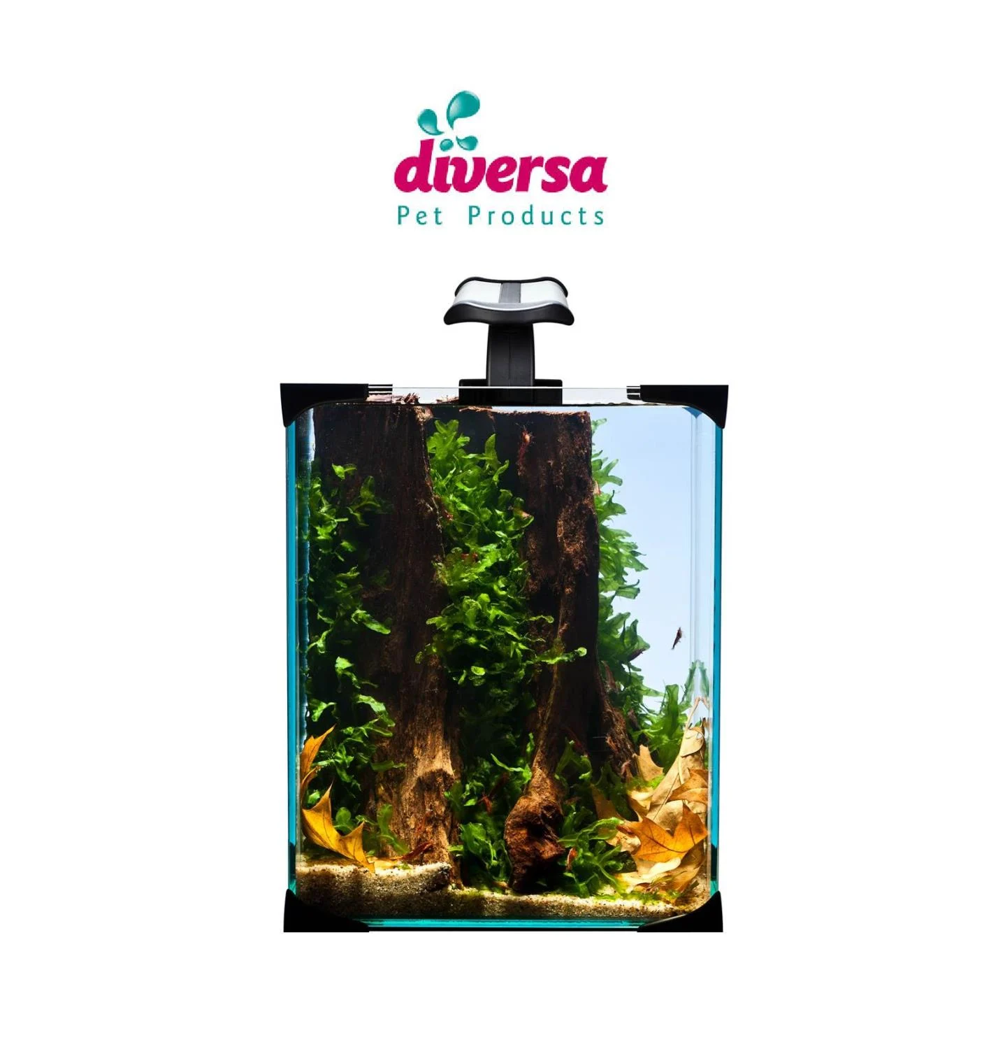 NANO LED Diversa, 10 Liter