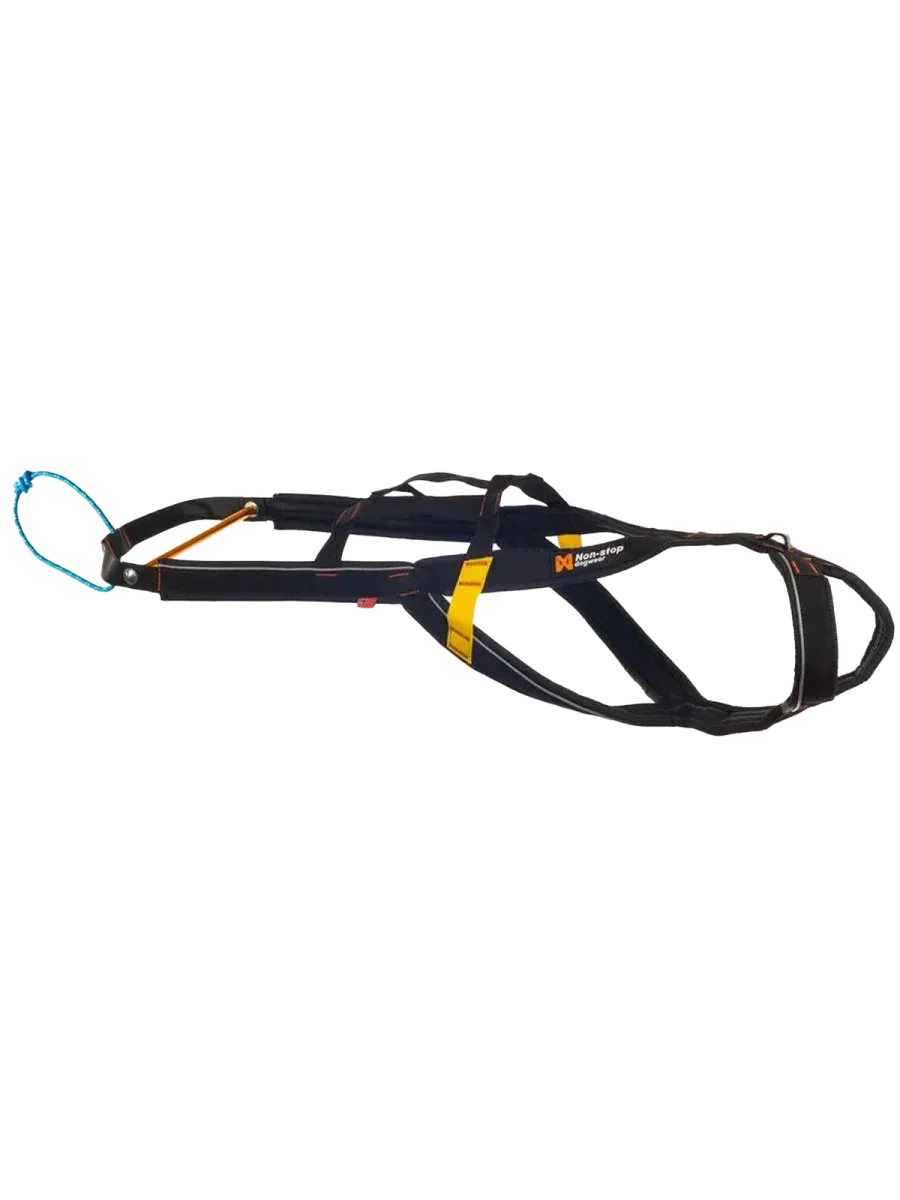Nansen stick harness