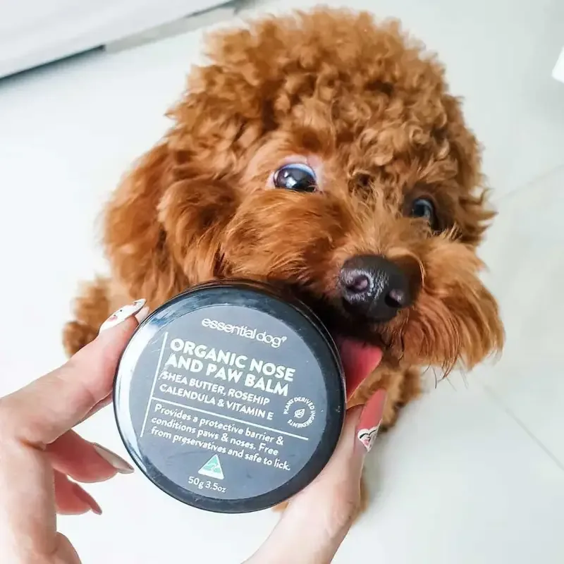 Naturlig balsam til hunder – til poter og nese