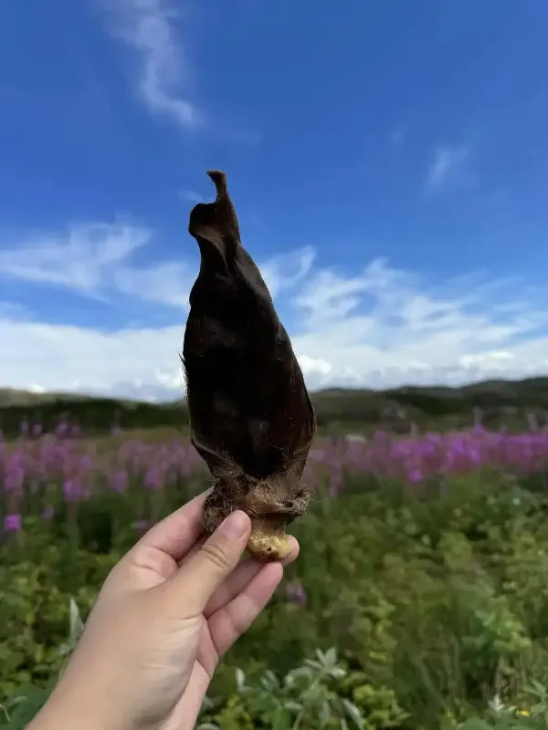 Naturlige lammeører med pels for hund | 250g & 1kg