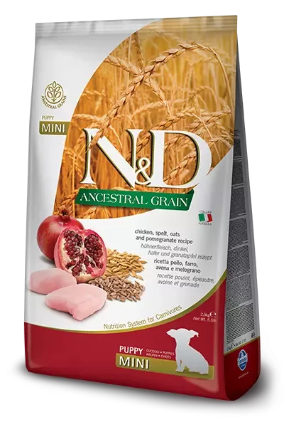 N&D ANCESTRAL GRAIN DOG CHICKEN, SPELT, OATS & POMEGRANATE PUPPY MINI 2,5 KG