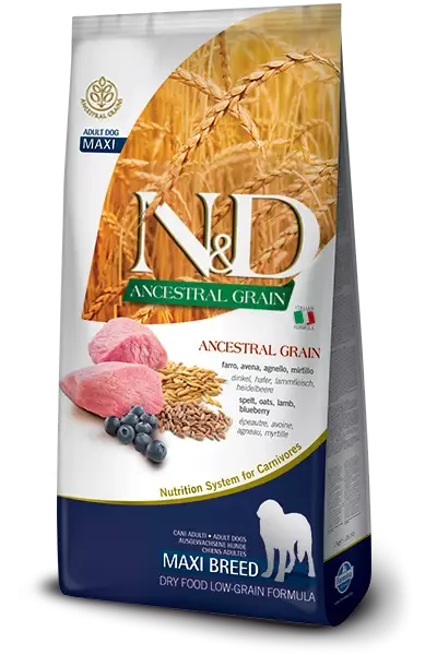 N&D Ancestral Grain Dog Lamb, Spelt, Oats & Blueberry Adult Medium & Maxi 12 Kg