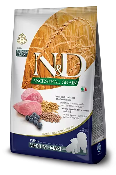 N&D ANCESTRAL GRAIN DOG LAMB, SPELT, OATS & BLUEBERRY PUPPY MEDIUM & MAXI 12 KG