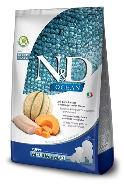N&D Ocean Dog Cod, Pumpkin & Cantaloupe Melon Puppy Medium & Maxi 2,5 Kg