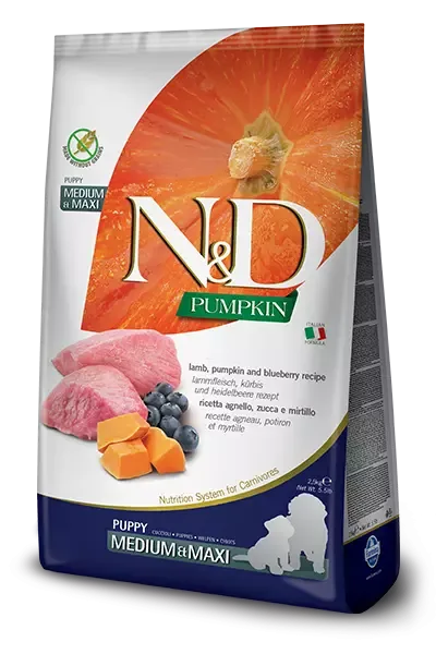 N&D Pumpkin Dog Lamb & Blueberry Puppy Medium & Maxi 2,5 Kg