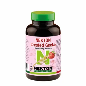 Nekton Crested Gecko With Strawberry