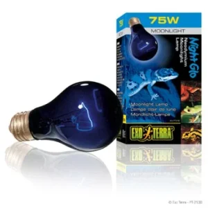 NIGHT HEAT LAMP ExoTerra, 75W A19 E27