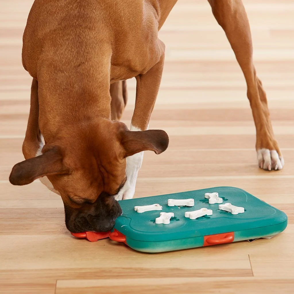 Nina Ottosson Dog Smart Plast Aktivitetsleke - Image 2
