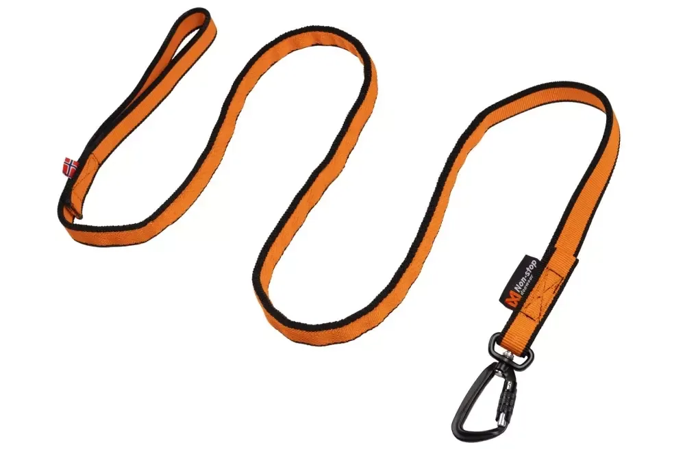Non-Stop bungee leash 2m