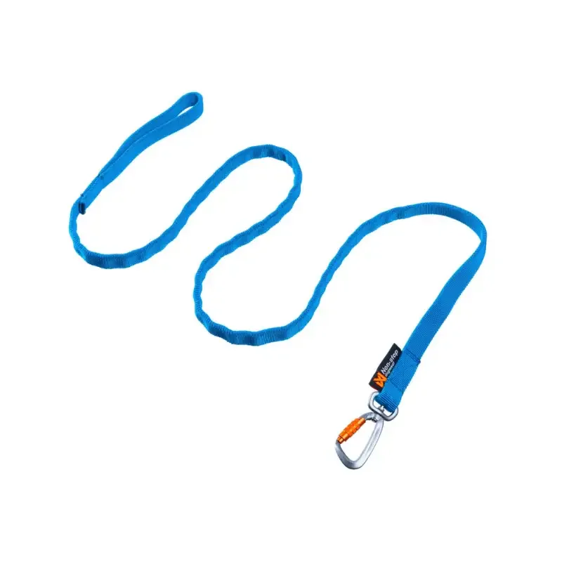 Non-stop Bungee Leash