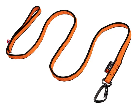 Non-Stop Bungee Leash