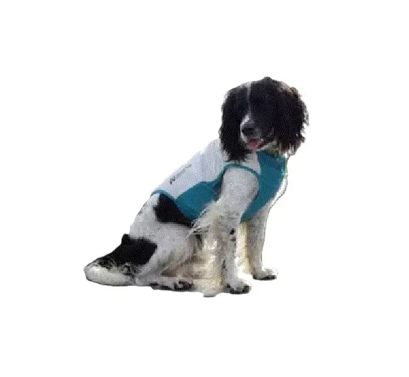 Non-Stop Cooling Pull-On, Unisex, Light Gray, 50