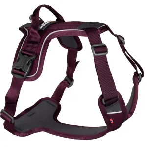 Non-Stop Dogwear Ramble Harness lilla str. XL