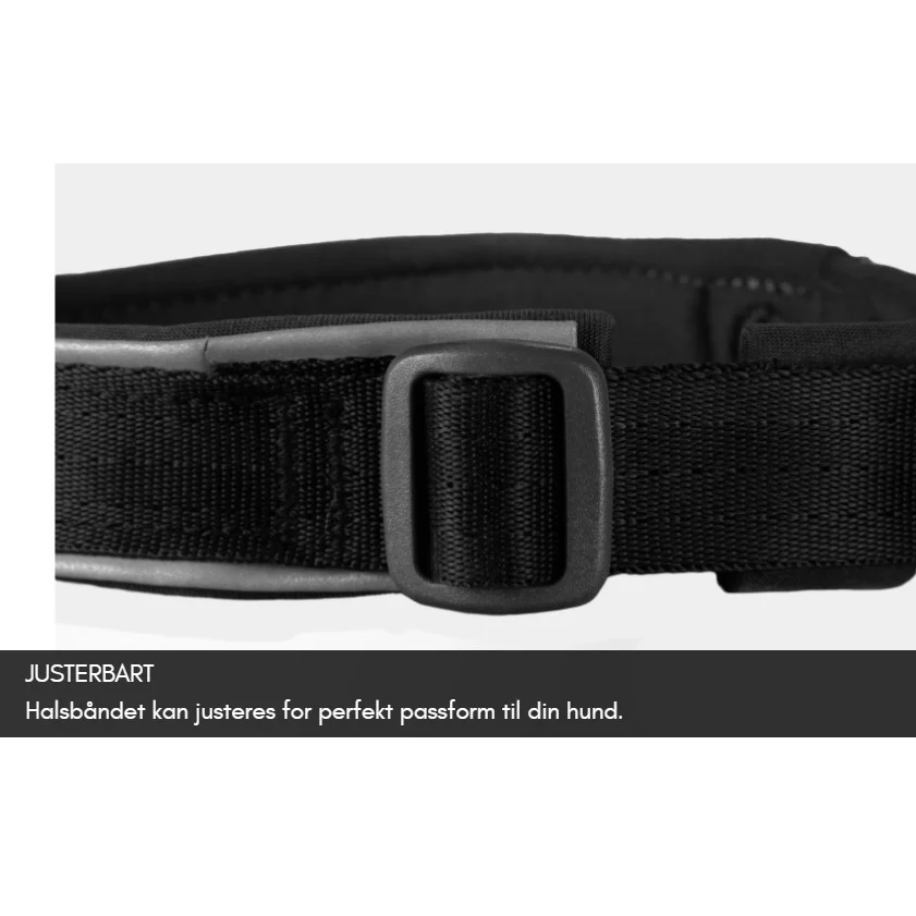 Non-Stop Dogwear Roam Collar – Polstret Hundehalsbånd - Image 2