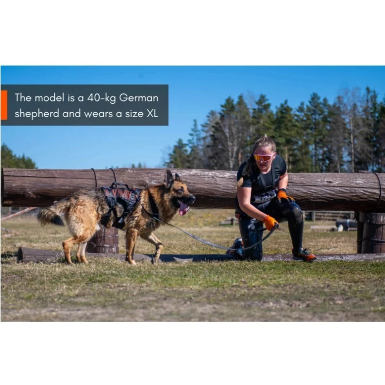 Non-Stop Dogwear Rock Harness Long – Multifunksjonell Hundesele - Image 2
