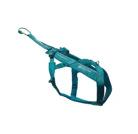 Non-Stop, Freemotion harness 5.0, unisex, teal, 5, single