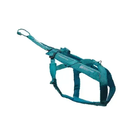 Non-Stop, Freemotion harness 5.0, unisex, teal, 6, single