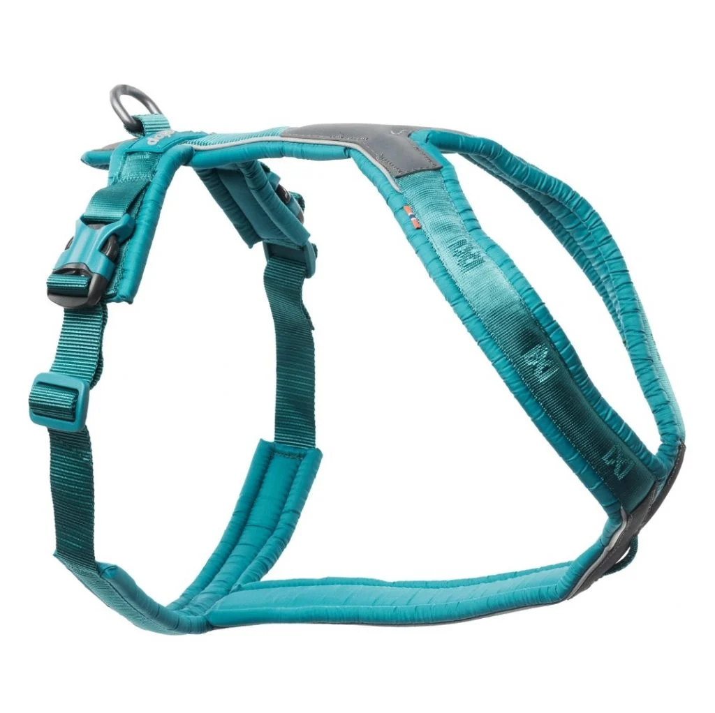 Non-Stop, Line harness 5.0, unisex, teal, 3, single