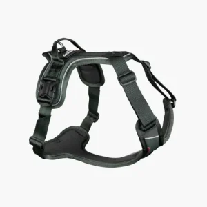 Non-Stop Ramble harness