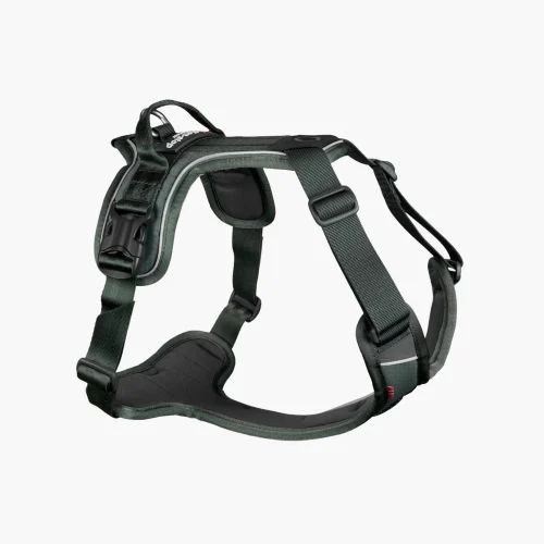 Non-Stop Ramble harness