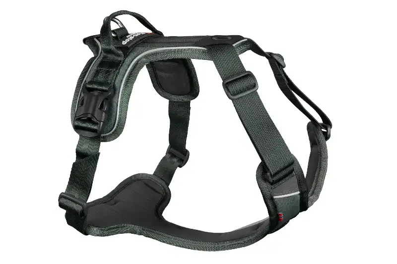 Non-stop Ramble Harness