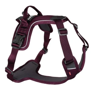 Non-Stop Ramble Harness, Purple, M