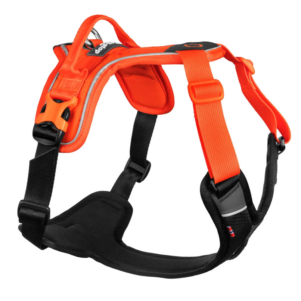Non-Stop, Ramble harness, unisex, black/orange, L, single