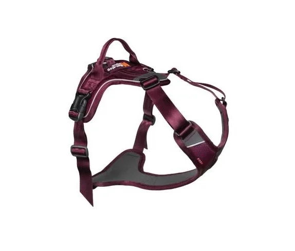 Non-Stop, Ramble harness, unisex, purple, M, single