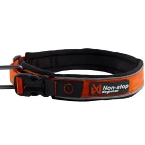 Non-Stop ROAM collar