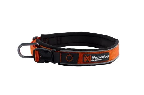 Non-Stop ROAM collar