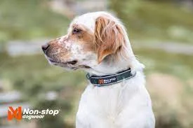 Non-Stop, Roam collar, unisex, green, 3XL, single - Image 2
