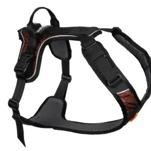 Non-stop Rock Harness