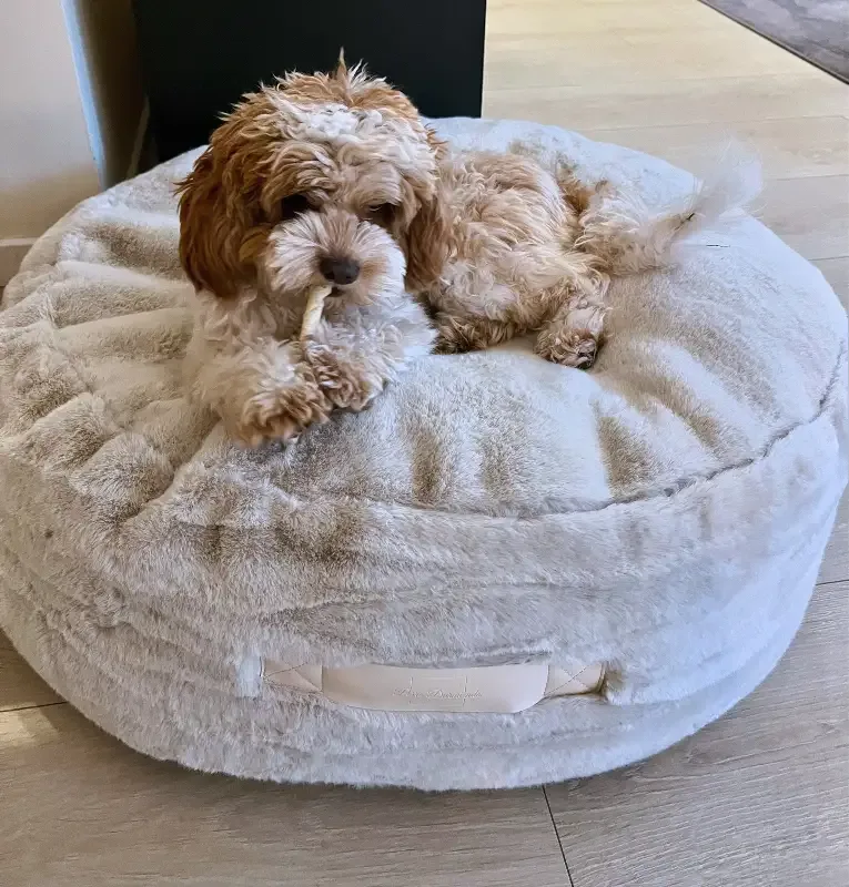 Nordic DayBed – Limited Edition Hundeseng med Nordisk Design og Komfort