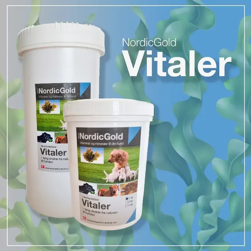 Nordic Gold Næringstilskudd – Vitaler («Grade A» Irsk tang til hunden din)