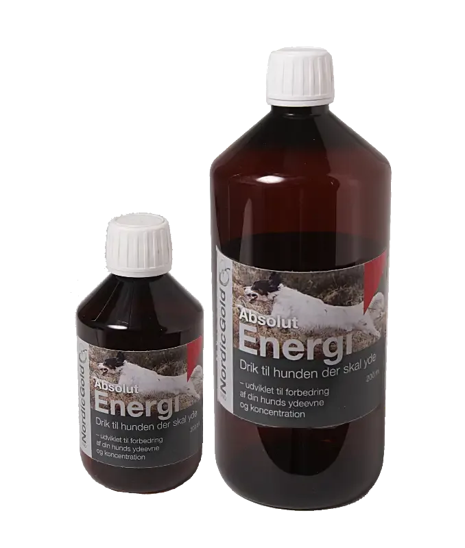 Nordic Gold Olje – Absolut Energy (Extra Ytelse)