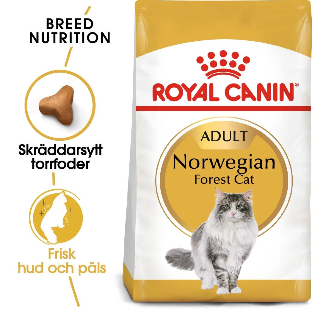 Norwegian Forest Adult T酶rrf么r til katt