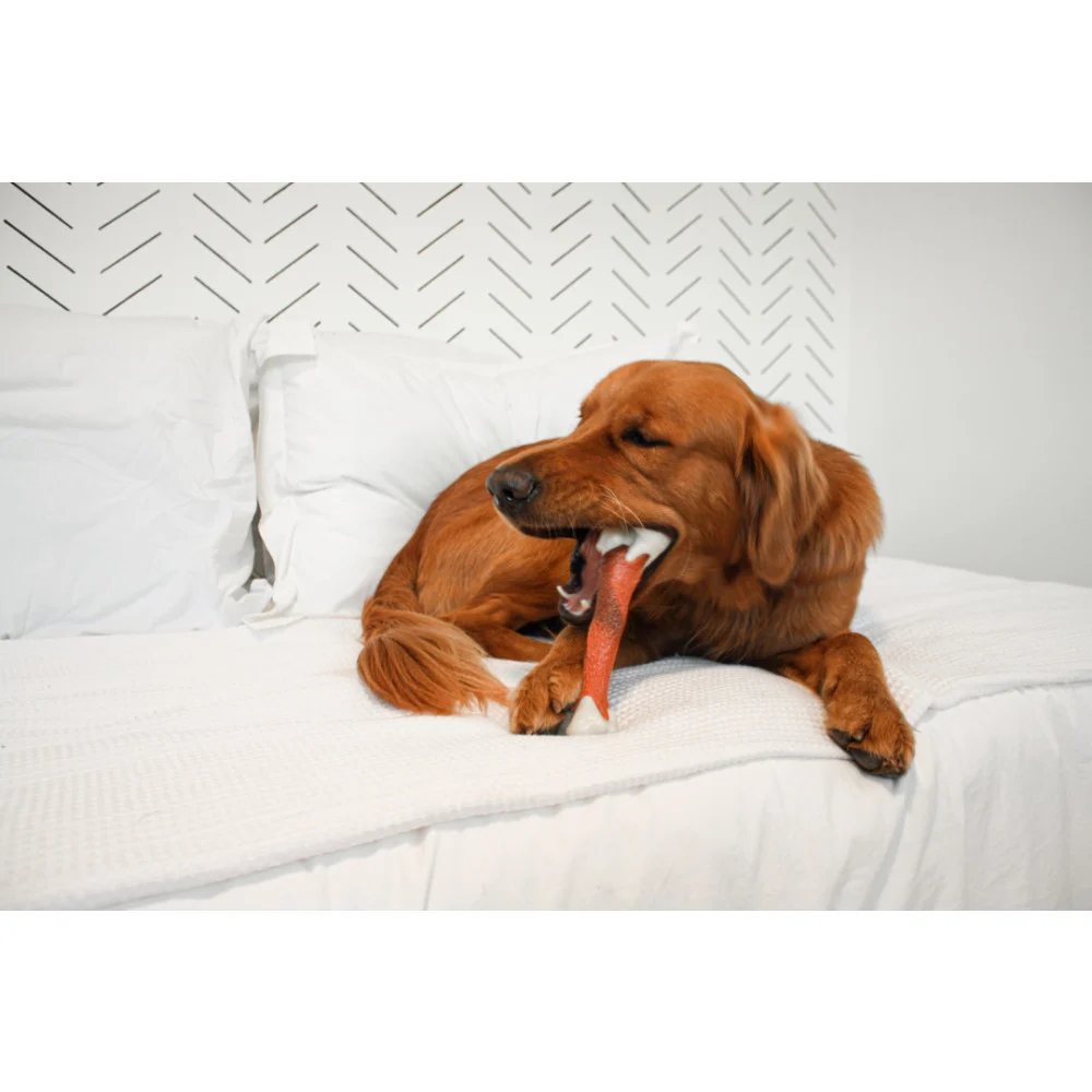 NYLABONE Extreme Chew Femur, XL - Image 2
