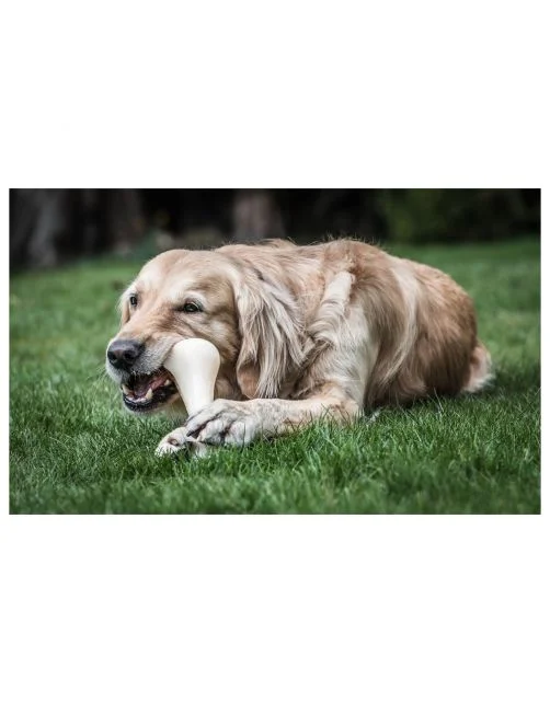 Nylabone, Extreme chew XXL, hund >23kg - Image 2