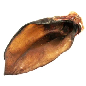 Okseøre