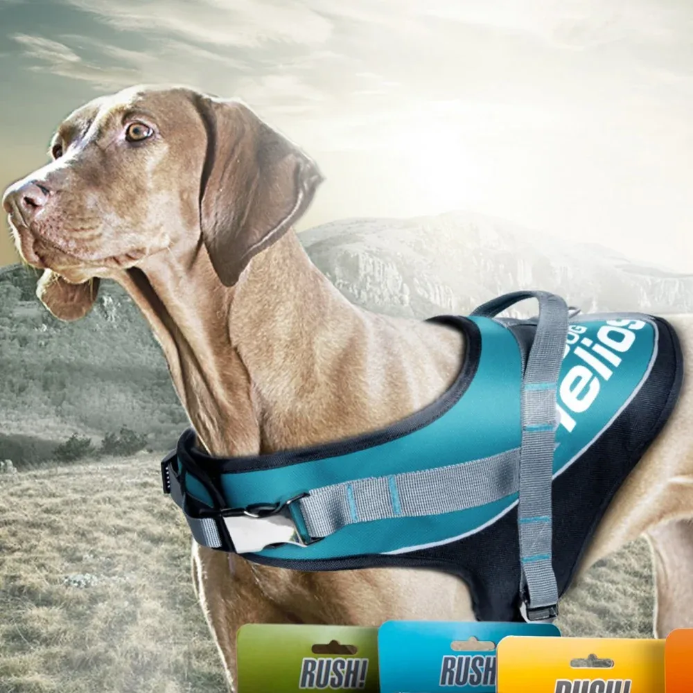 Orange fritidssele til hund - Image 2