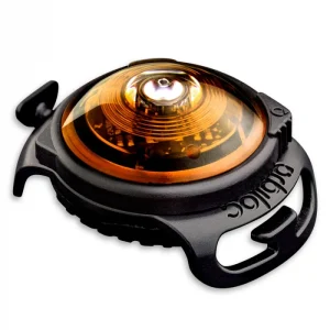 Orbiloc Amber Dual