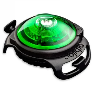 Orbiloc Gr酶nn Dual
