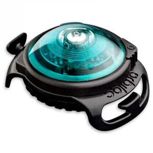 Orbiloc Turkis Dual