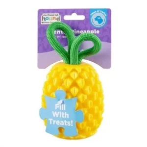Outward Hound Dental Pineapple 2-in-1