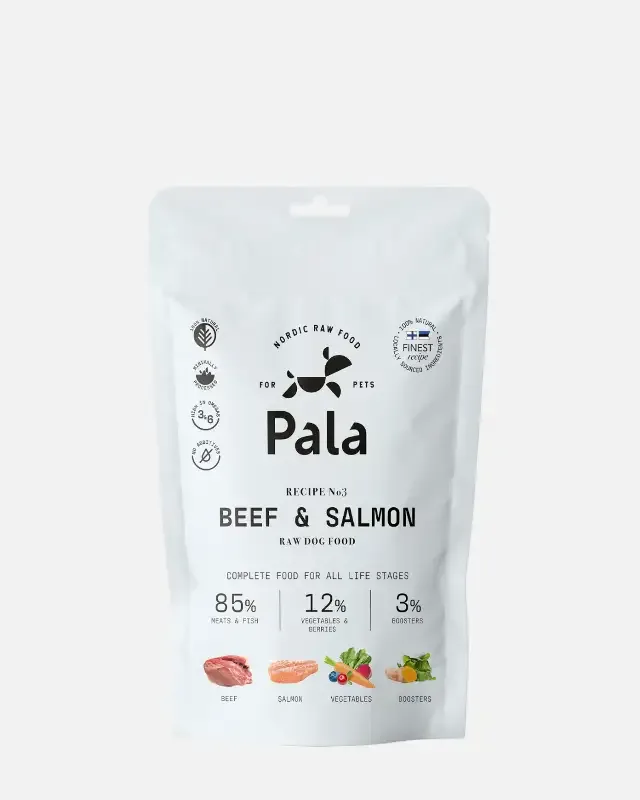 Pala Recipe 3 // Biff og laks
