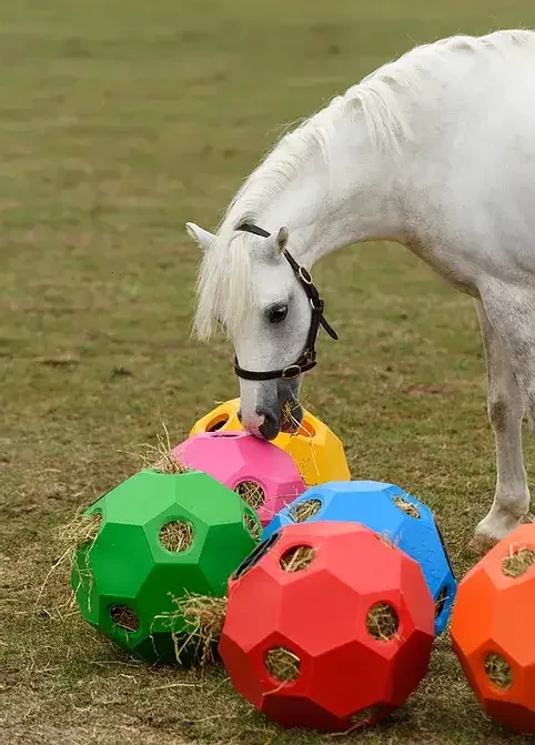 Parallax Hay Play (høyball)