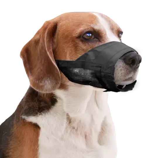 Pawise Muzzle Adjustable XS