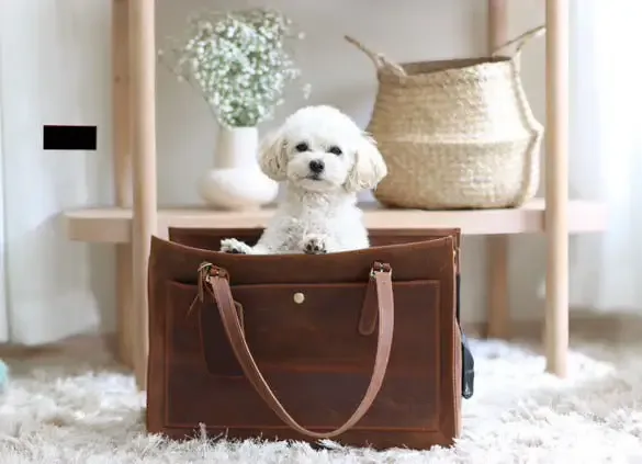 Perro Durmiendo Tote Bag – Eksklusiv skinnveske med elegant design | Hundeveske