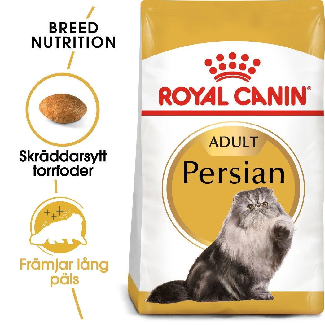 Persian Adult T酶rrf么r til katt