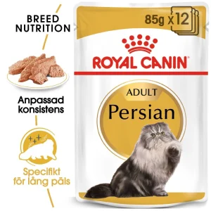 Persian Adult V氓tf么r til katt